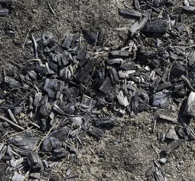 Natural background texture of black coal Stock Photos