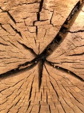 Natural background texture brown trunk tree from forest vertical macro photo Stock Photos