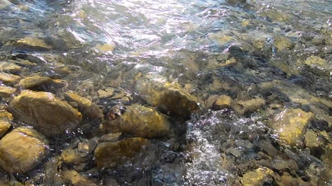 Natural background. Water flows over stones at the bottom of a shallow river Stock Footage 144383756