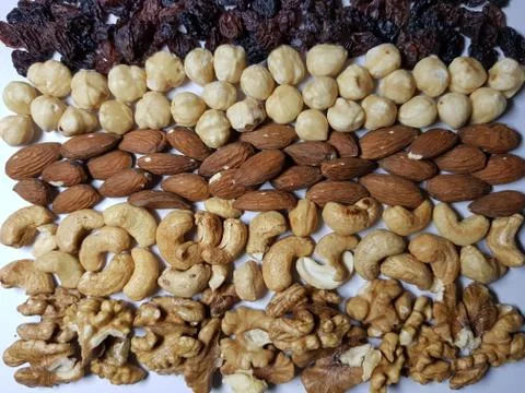 Natural backgrounds of different types of nuts and raisins are lined with row Stock Photos