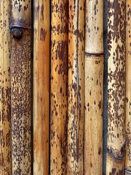 Natural Bamboo Wall Texture Stock Photos