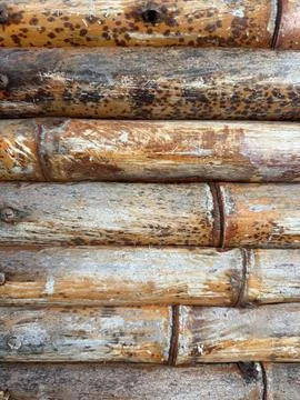 Natural Bamboo Wall Texture Stock Photos