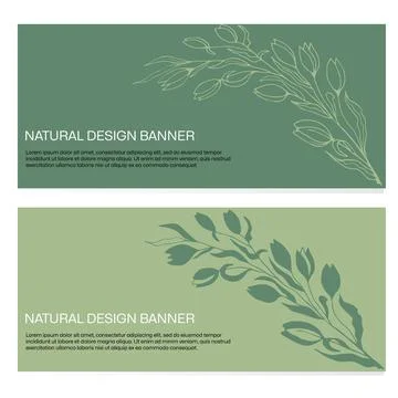 Natural banner design with drawn elements. Stock Illustration