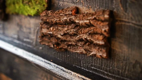 Natural bark of tree texture for interior decoration of rural house Stock Footage 127302202
