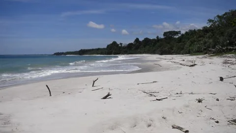 Natural beach in a bright day Stock Footage 168527423