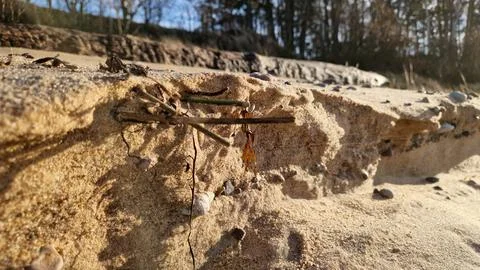 Natural Beach Elements Creating Textured Sandscape Close-Up Stock Photos