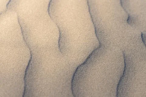 Natural Beach Sand Texture with Wave-Like Patterns and Earth Tones Фото