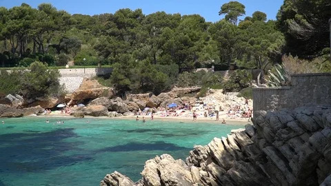 Natural beach surrounded by trees Stock Footage 128348534