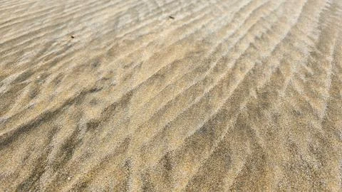 A natural beautiful cross lines pattern in soft colors in ocean or sea sand Stock Photos
