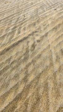 A natural beautiful cross lines pattern in soft colors in ocean or sea sand Stock Photos