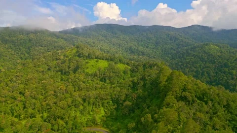 Natural Beautiful Scenery Video stock 239509094