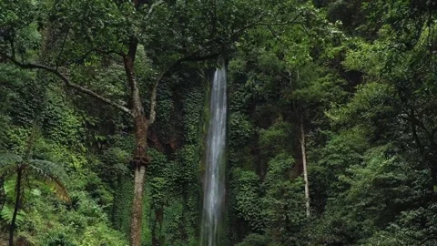 Natural beautiful waterfall Stock Footage 222472261