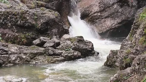 Natural beauty Stock Footage 219670679