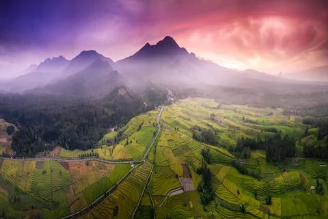 The natural beauty of Indonesia where the mountain range and extensive rice f Stock Photos