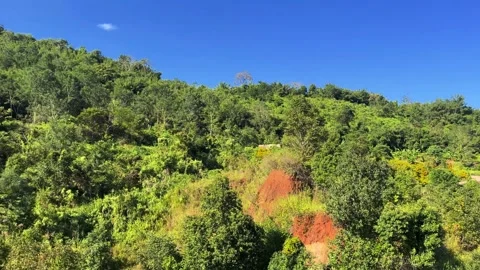 Natural beauty from inside the train to outside Stock Footage 323356106