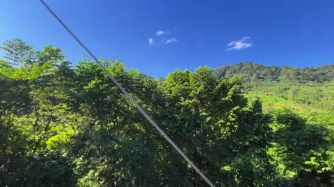 Natural beauty from inside the train to outside Stock Footage 323356394