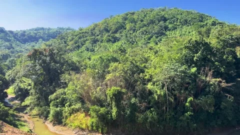 Natural beauty from inside the train to outside Stock Footage 323357645
