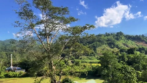 Natural beauty from inside the train to outside Stock Footage 323358050