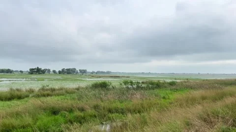 Natural beauty from inside the train to outside Video stock 323373744