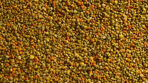 Natural bee pollen granules texture background full frame, rotate Video stock 345815621