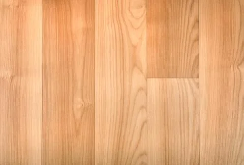 Natural beech texture Stock Photos