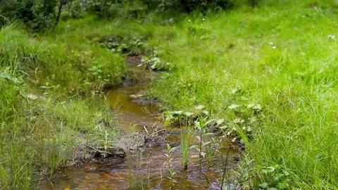 Natural bends of stream between hills with dense lush grass and summer sunlight Video stock 148044538