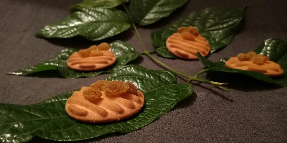 Natural biscuits presentation background. Stock Photos