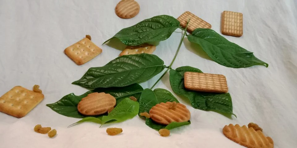 Natural biscuits presentation background. Stock-Fotos