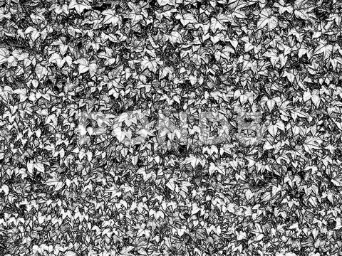 Natural black and white leaves background Stock Illustration