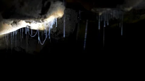 Natural blue lights created by glowworms in Waitomo Cave Stock Footage 337785318
