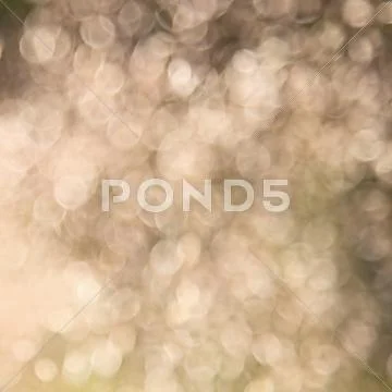 Natural blurred abstract background Stock-Fotos