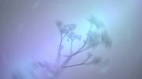 Natural blurred background with falling snow and dry grass swaying in the wind.  Stock Footage 251160511