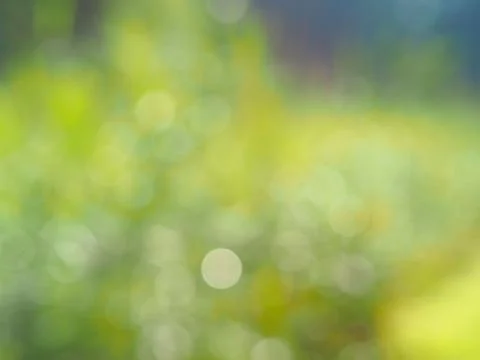 Natural blurred background Stock Photos
