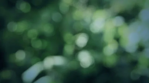 Natural Bokeh 2 스톡 동영상 32450694