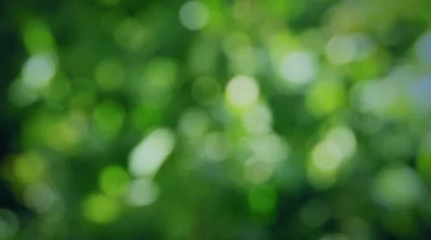 Natural Bokeh 3 스톡 동영상 32450702