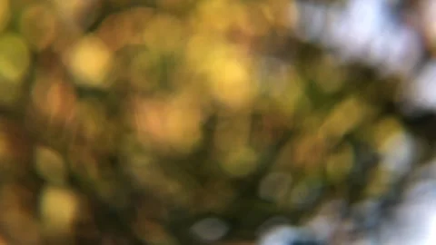Natural bokeh abstract background Stock Footage 287938517