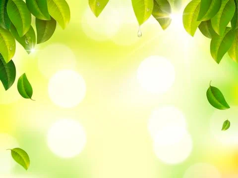Natural bokeh background Illustrazione stock