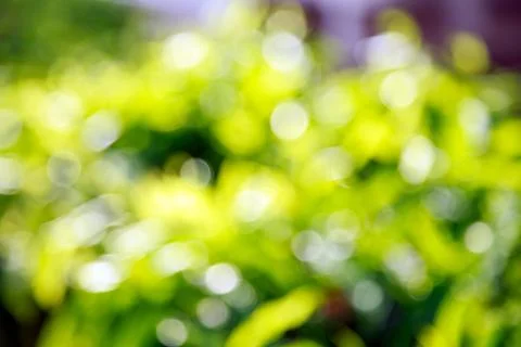 Natural bokeh background Stock Photos
