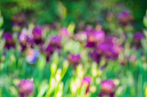 Natural bokeh background Stock Photos