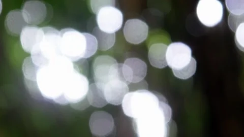 Natural bokeh background with sunlight. Blurred trees. Abstract nature blur Stock Footage 312904499