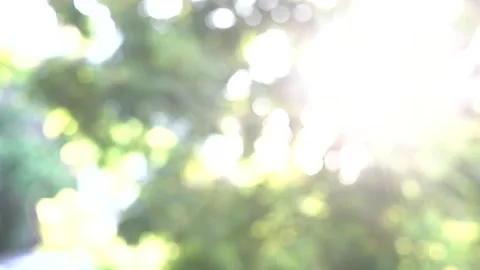 The natural bokeh created by the sunlight passing through the afternoon trees Stock Footage 132334445