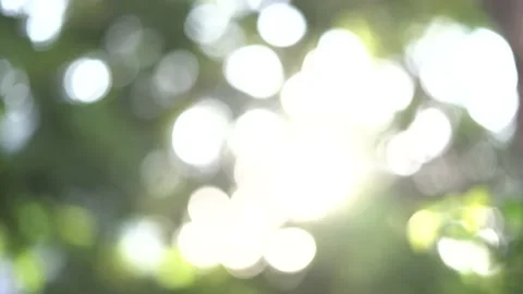 The natural bokeh created by the sunlight passing through the afternoon trees Stock Footage 132334490