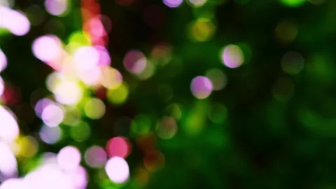 Natural bokeh light creating a blurred effect with multiple circles of vari.. Stock Footage 300078566