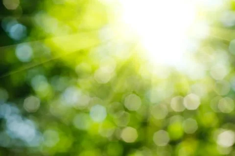 Natural bokeh 写真素材