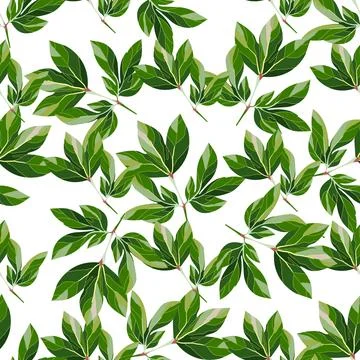 Natural botanical seamless pattern. Stock Illustration