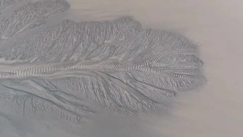Natural Branch Pattern of Coastal Tidal Tree Erosion Texture 스톡 동영상 334704344