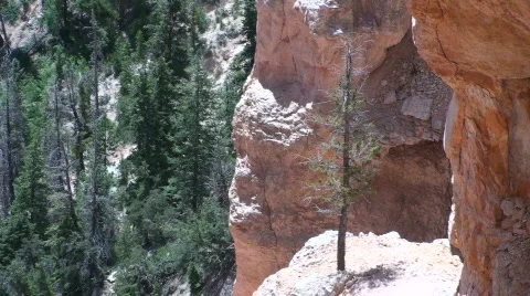 Natural Bridge 2 Stock Footage 672496