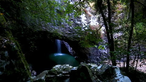 Natural Bridge and waterfall in Springbrook National Park,Queensland,australia Stock Footage 140617833