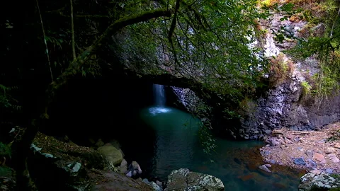 Natural Bridge and waterfall in Springbrook National Park,Queensland,australia Stock Footage 140617943