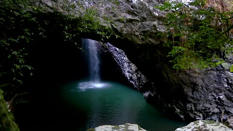 Natural Bridge and waterfall in Springbrook National Park,Queensland,australia Stock Footage 140618140